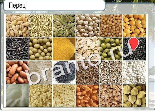 решебник на игру Горячо-Холодно Уровень 3021