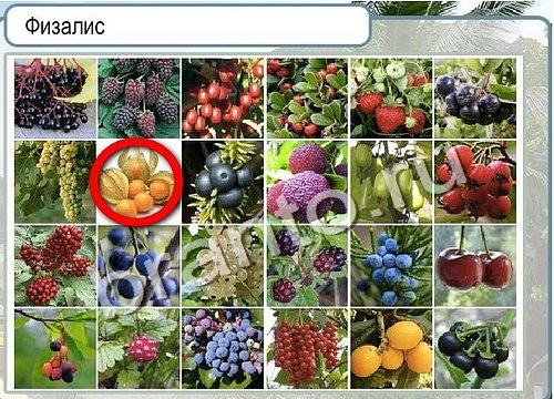 Горячо-Холодно игра ответы Уровень 3043