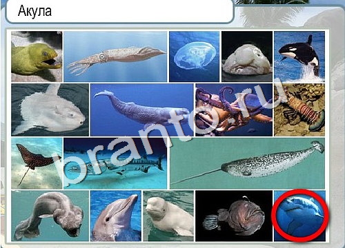 Подсказки Горячо-Холодно Уровень 3062