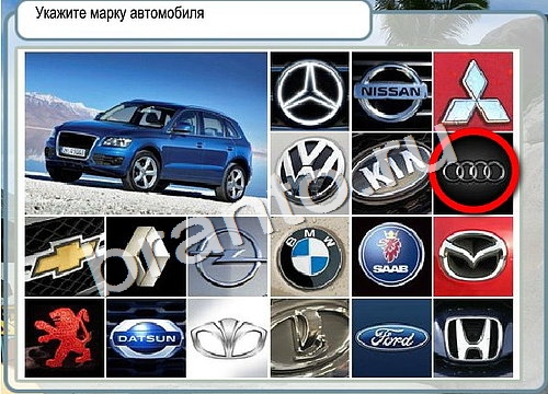 Горячо-Холодно игра ответы в одноклассниках Уровень 3067 Многоцветный лорикет