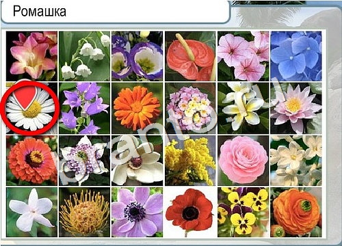 Горячо-Холодно игра ответы Уровень 3073