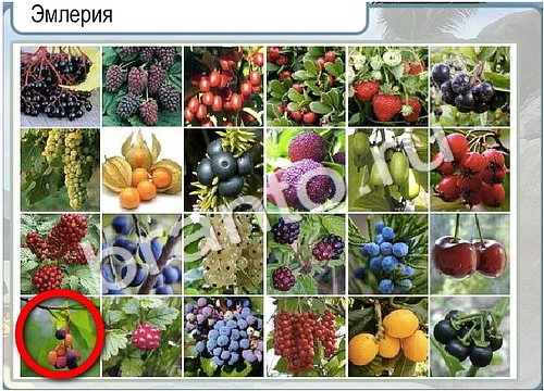 Горячо-Холодно ответы в картинках Уровень 3076 Черногория