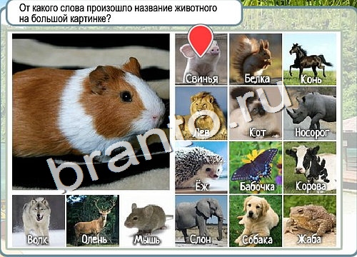 Решения на игру Горячо-Холодно Уровень 3093 автор Мёртвые души фото