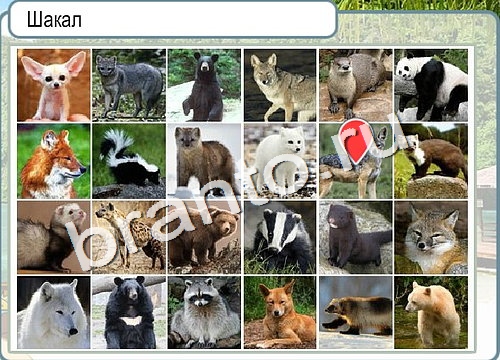 Помощь на игру Горячо-Холодно Уровень 3094 Кузя