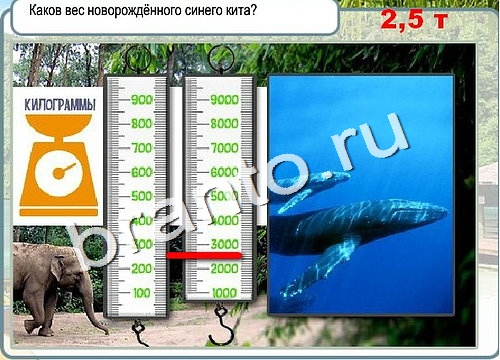 Горячо-Холодно решения Уровень 3112 Урал-4320-0111-41
