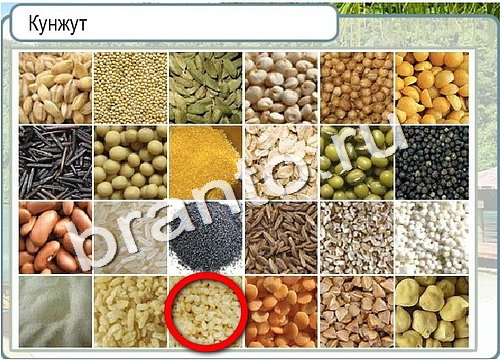 Горячо-Холодно игра подсказки Уровень 3114 знак родившегося 8 марта