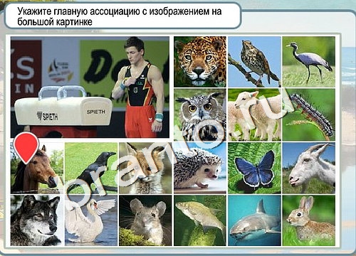 Горячо-Холодно решения Уровень 3132 Пищевод