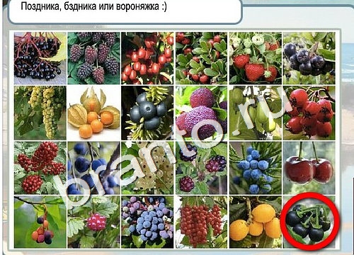 Игра Горячо-Холодно подсказки Уровень 3138 рыба лещ