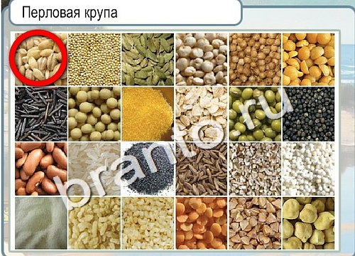 решебник на игру Горячо-Холодно Уровень 3141