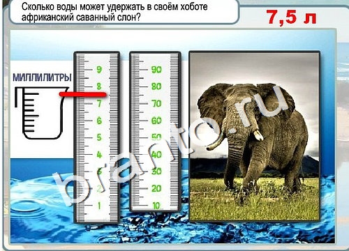 Горячо-Холодно решения Уровень 3142 Урал-4320-0111-41