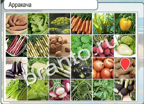 Горячо-Холодно ответы в картинках Уровень 3146 Александр Демьяненко