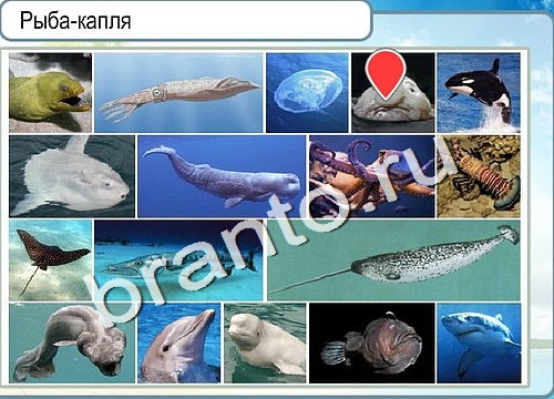 Помощь на игру Горячо-Холодно Уровень 3154 Кузя