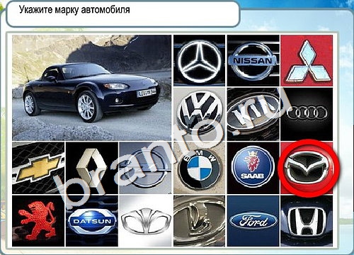 Горячо-Холодно игра ответы в одноклассниках Уровень 3157 Многоцветный лорикет