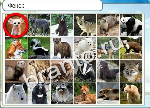 Горячо-Холодно ответы Уровень 3158 шляпа Клош
