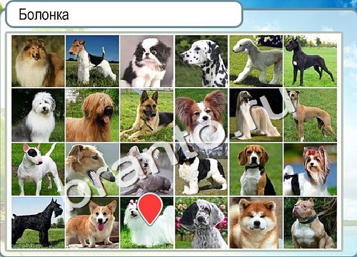 Горячо-Холодно решения Уровень 3162 Пищевод