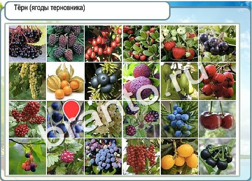 Горячо-Холодно игра ответы Уровень 3163