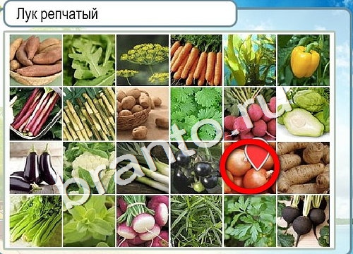 Горячо-Холодно решения Уровень 3172 Урал-4320-0111-41