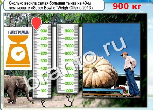 Горячо-Холодно игра ответы Уровень 3173 гладить при 150