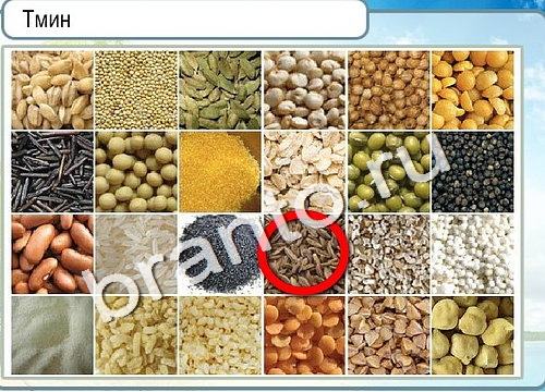 Горячо-Холодно игра подсказки Уровень 3174 знак родившегося 8 марта