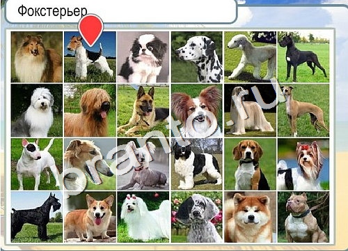 Горячо-Холодно подсказки Уровень 3189