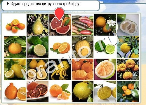 Горячо-Холодно решения Уровень 3192 Пищевод