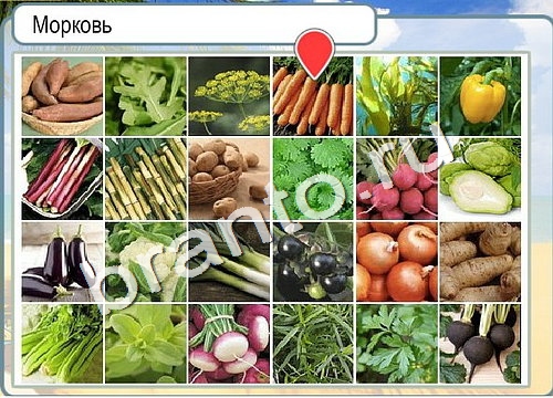 решебник на игру Горячо-Холодно Уровень 3201