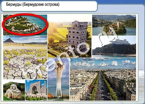 ответы на игру Горячо-Холодно Уровень 3211 печень