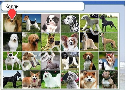 Горячо-Холодно игра помощь Уровень 3225 Наташа Королёва