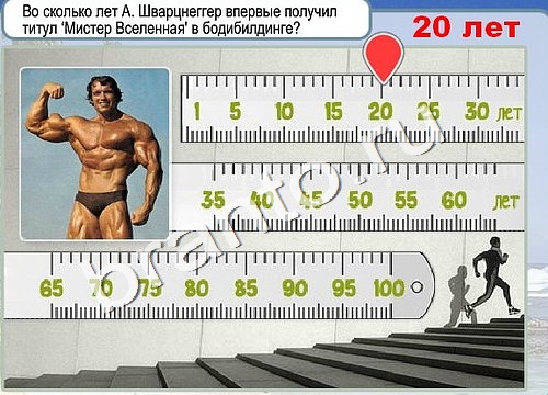 Игра Горячо-Холодно ответы Уровень 3227 бабочка Адмирал