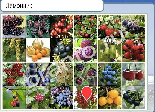 Игра Горячо-Холодно подсказки Уровень 3228 рыба лещ