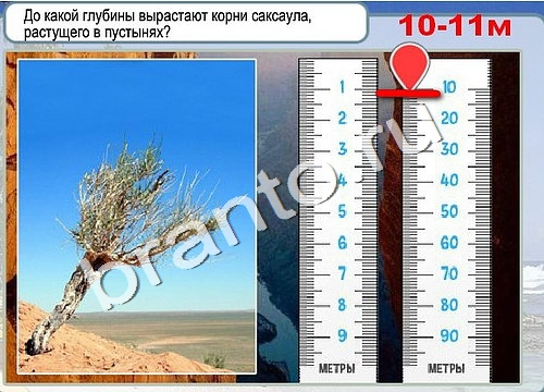 Горячо-Холодно ответы в картинках Уровень 3236 Александр Демьяненко