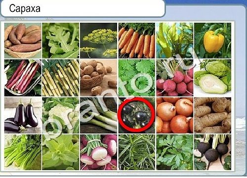 Игра Горячо-Холодно ответы Уровень 3237