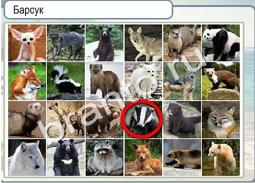 Решения на игру Горячо-Холодно Уровень 3243 автор Мёртвые души фото