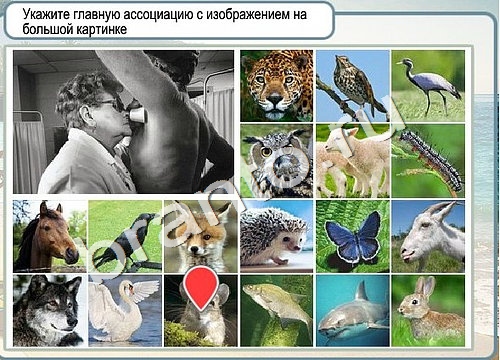 Горячо-Холодно решения Уровень 3252 Пищевод