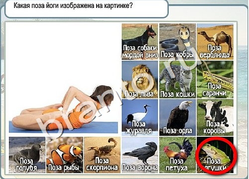 Горячо-Холодно игра подсказки Уровень 3254