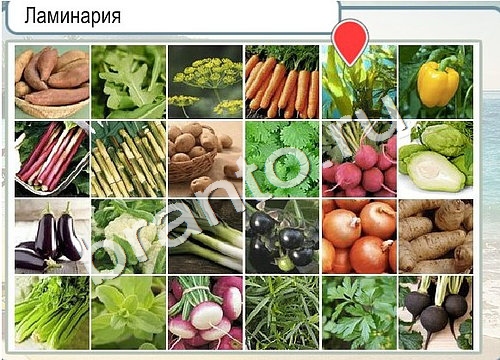 Горячо-Холодно игра ответы Уровень 3263 гладить при 150