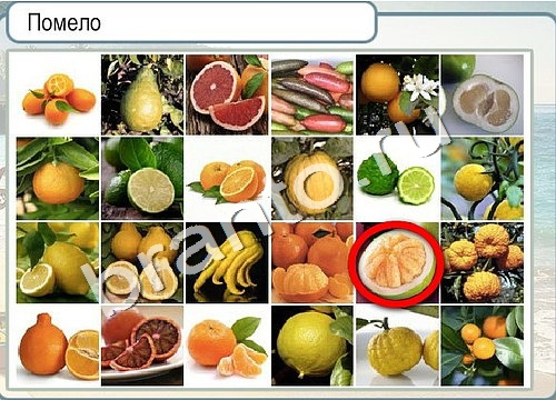 Горячо-Холодно игра помощь Уровень 3265 укажите марку авто