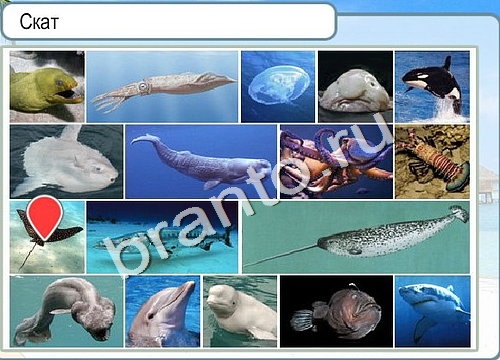 Подсказки Горячо-Холодно Уровень 3272