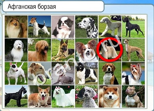 Горячо-Холодно игра подсказки Уровень 3284