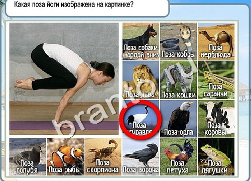 Горячо-Холодно ответы в картинках Уровень 3286 Черногория