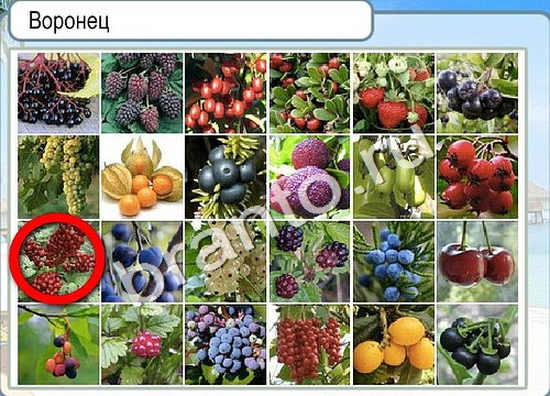 игра Горячо-Холодно помощь Уровень 3289