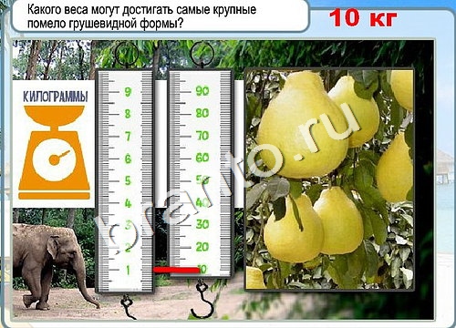 Горячо-Холодно решения Уровень 3292 Урал-4320-0111-41