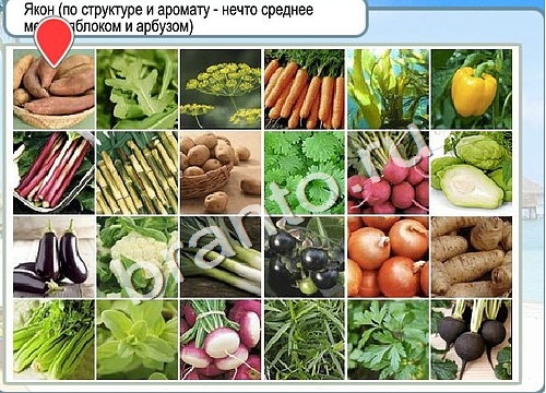 Игра Горячо-Холодно ответы Уровень 3297