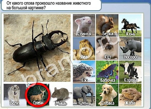 Решения на игру Горячо-Холодно Уровень 3303 автор Мёртвые души фото