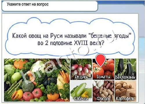 ответы на игру в одноклассниках Горячо-Холодно Уровень 3306 Голубика
