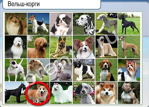 Горячо-Холодно ответы в картинках Уровень 3316 Черногория