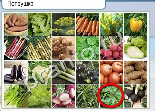 решебник на игру Горячо-Холодно Уровень 3321