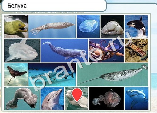 Подсказки Горячо-Холодно Уровень 3332