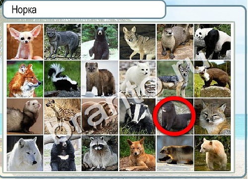 Горячо-Холодно ответы Уровень 3338 шляпа Клош