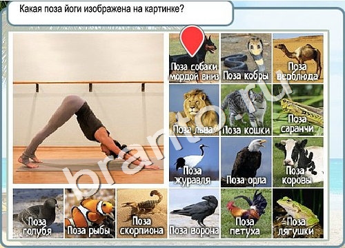 Горячо-Холодно игра помощь Уровень 3345 Наташа Королёва